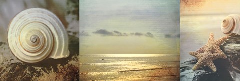Framed Coastal Triptych I Print