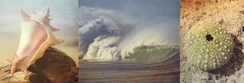 Framed Coastal Triptych II Print