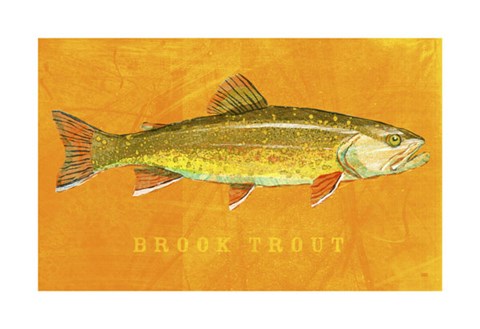 Framed Brook Trout Print