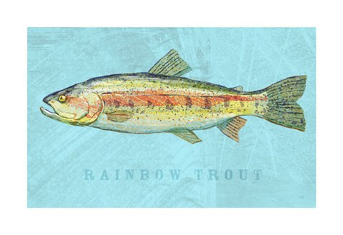 Framed Rainbow Trout Print