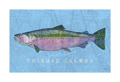 Framed Chinook Salmon Print