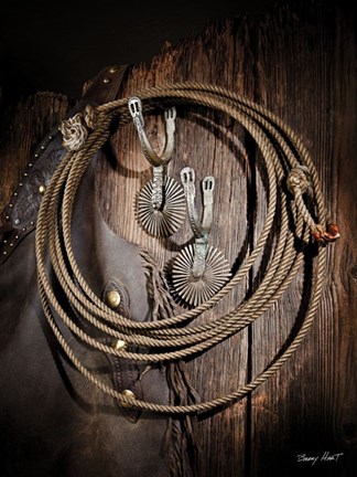 Framed Rowels n Ropes Print