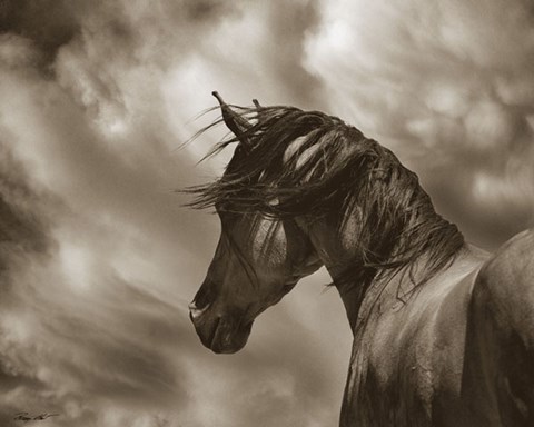 Framed Renegade Print