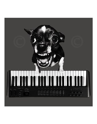 Framed Keyboard Print