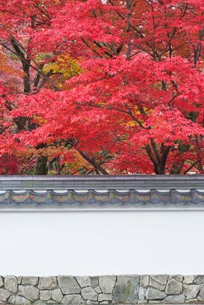 Framed Eikando Temple, Kyoto, Japan Print