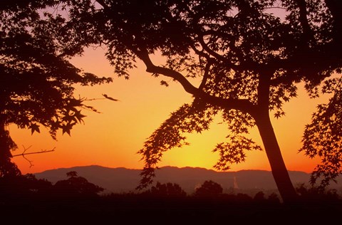 Framed Jojakkoji at Dawn, Arashiyama, Kyoto, Japan Print