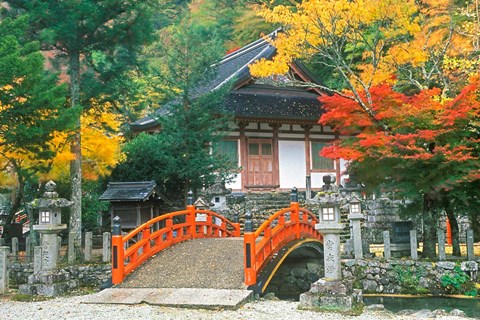 Framed Ryuzenji Temple, Nara, Japan Print