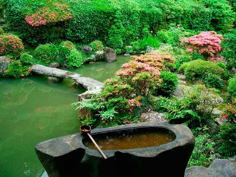 Framed Green Zen Garden, Kyoto, Japan Print