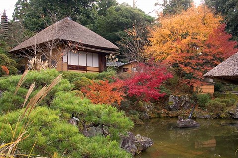 Framed Tea House, Kyoto, Japan Print