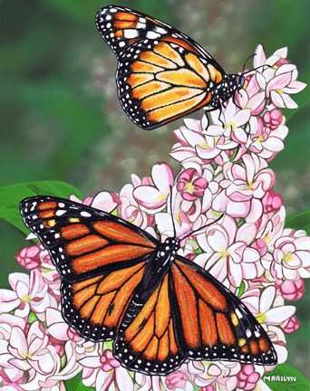 Framed Monarch Butterfly Print