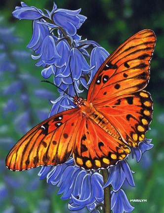 Framed Brilliant Eye Jewel Butterfly Print