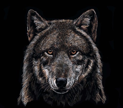 Framed From The Shadows Print