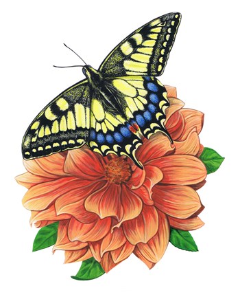 Framed Yellow Swallowtail Butterfly II Print