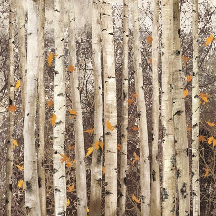 Framed Serene Union Print