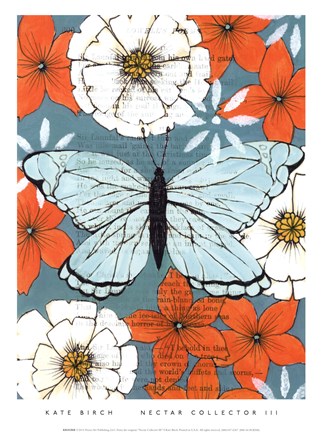 Framed Nectar Collector III Print