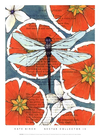 Framed Nectar Collector IV Print