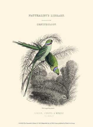 Framed Naturalist's Library I Print