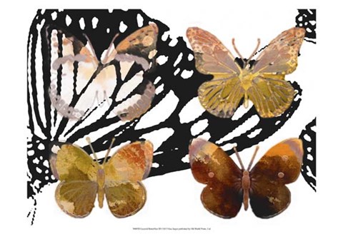 Framed Layered Butterflies III Print