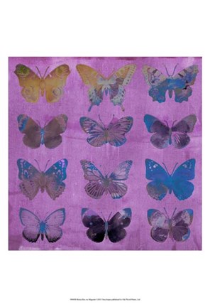 Framed Butterflies on Magenta Print