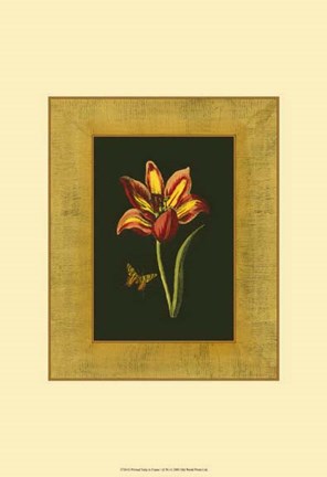 Framed Tulip in Frame I Print
