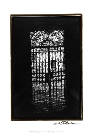 Framed Hidden Passages, Venice I Print