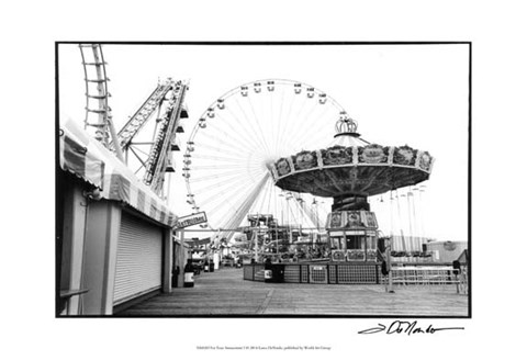 Framed For Your Amusement I Print