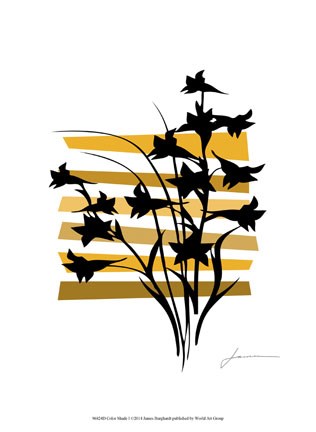 Framed Color Shade I Print