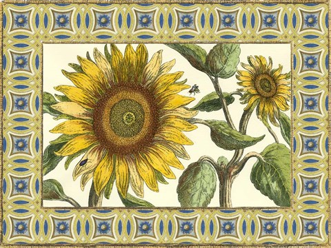 Framed Classical Sunflower I Print