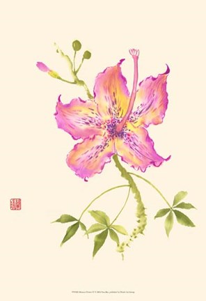 Framed Hibiscus Flower IV Print