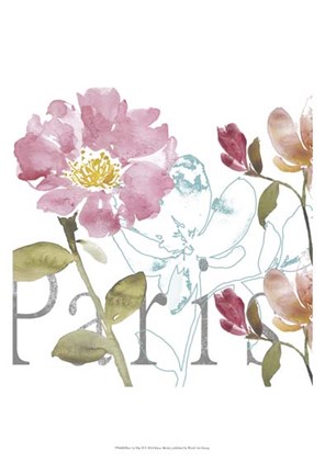 Framed Paris by Day II Print