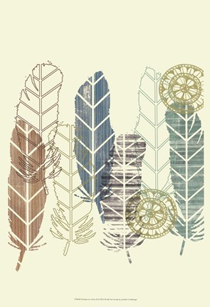 Framed Feathers in a Row II Print