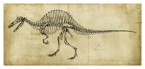 Framed Spinosaurus Study Print