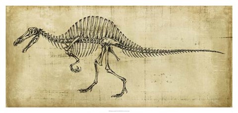 Framed Spinosaurus Study Print