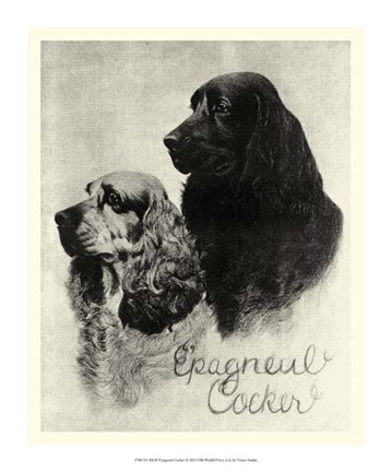 Framed B&amp;W E&#39;pagneul Cocker Print