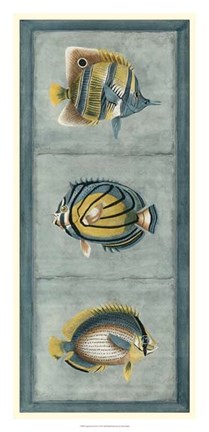 Framed Tropical Fish Trio I Print