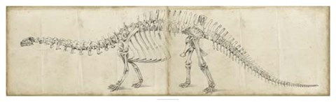 Framed Dinosaur Study I Print