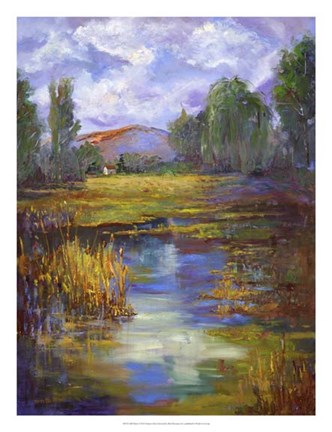 Framed Still Waters Print