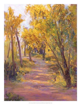 Framed Cottonwoods Calling Print