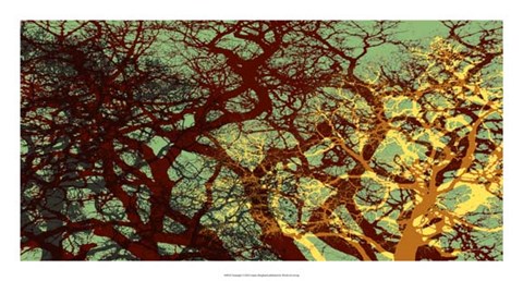 Framed Entangle I Print