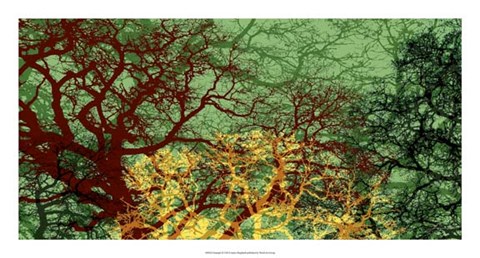 Framed Entangle II Print