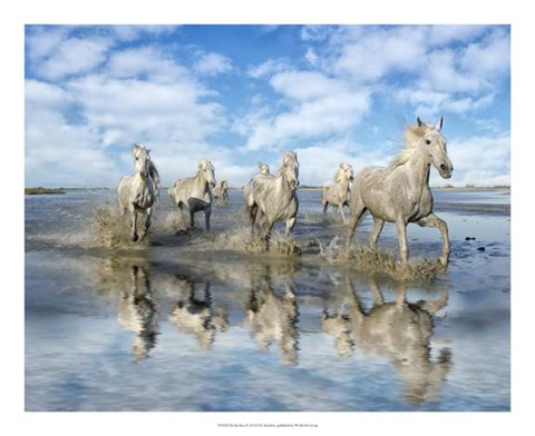 Framed On the Run Print