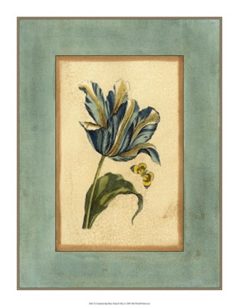 Framed Crackled Spa Blue Tulip II Print