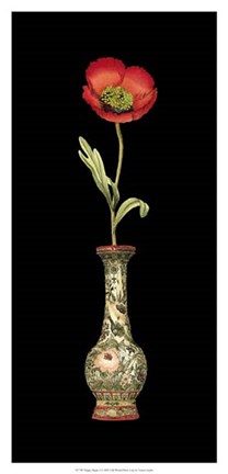 Framed Poppy Magic I Print