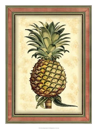 Framed Pineapple Splendor II Print