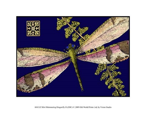 Framed Mini Shimmering Dragonfly II Print