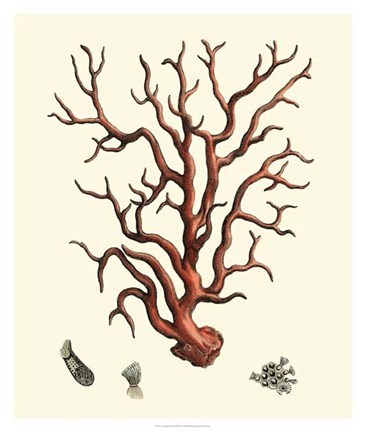 Framed Red Coral I Print