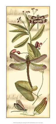 Framed Dragonfly Gathering II Print