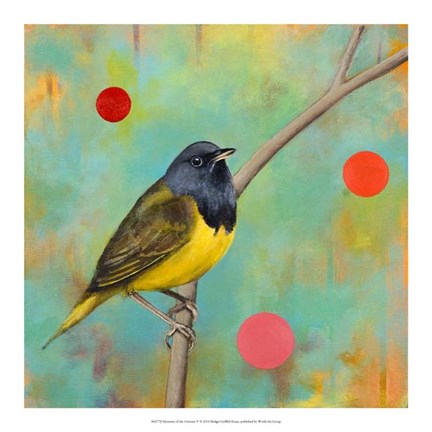 Framed Mysteries of the Universe V Print