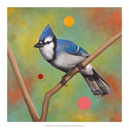 Framed Mysteries of the Universe VI Print