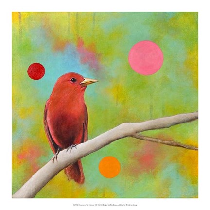 Framed Mysteries of the Universe VII Print